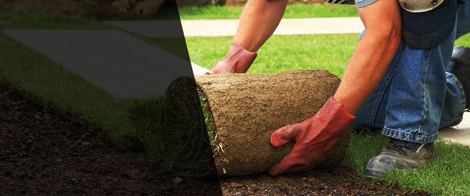 Mayflower Landscapers